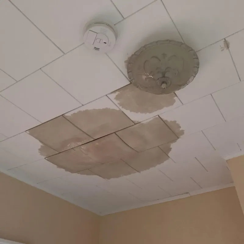 Ceiling Water Damage Repair in Bloomington, MN